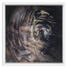 Xrossing Tiger x Strukture