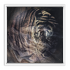 Xrossing Tiger x Strukture