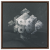 Geometry of Ecology x Strukture