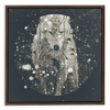 Winter Wolf x Strukture