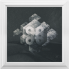 Geometry of Ecology x Frame