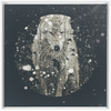 Winter Wolf x Strukture