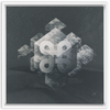 Geometry of Ecology x Strukture