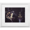 Faery Tale x Frame