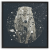 Winter Wolf x Strukture
