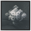 Geometry of Ecology x Strukture