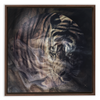 Xrossing Tiger x Strukture