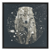 Winter Wolf x Strukture