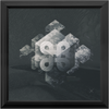 Geometry of Ecology x Frame