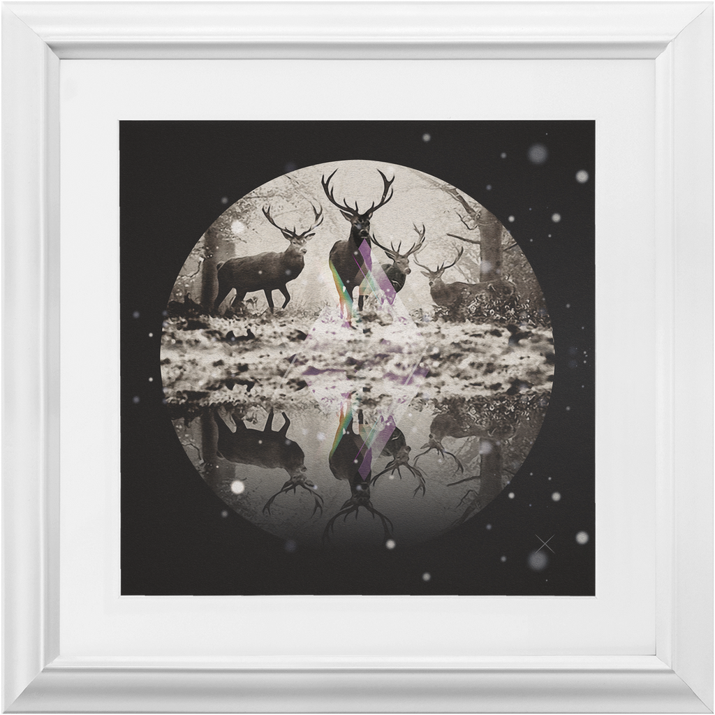 Deer Dearest x Frame