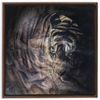 Xrossing Tiger x Strukture