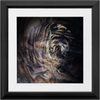 Xrossing Tiger x Frame