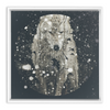 Winter Wolf x Strukture