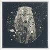 Winter Wolf x Strukture