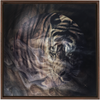Xrossing Tiger x Strukture