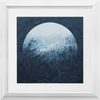 Through the Trees x Frame