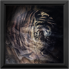 Xrossing Tiger x Frame