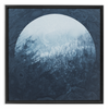 Through the Trees x Strukture