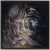 Xrossing Tiger x Strukture