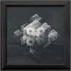 Geometry of Ecology x Frame