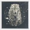 Winter Wolf x Strukture