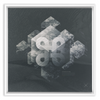Geometry of Ecology x Strukture