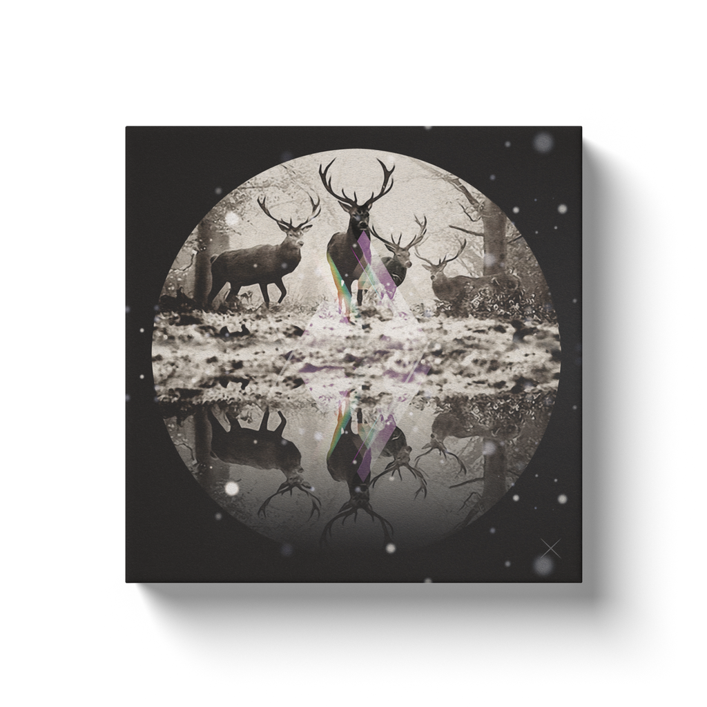 Deer Dearest x Kanvas