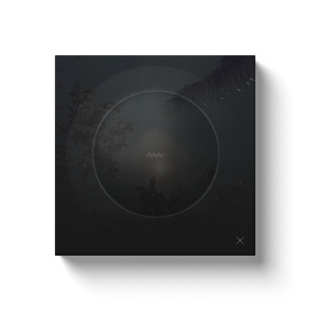 Signal x Kanvas