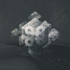 Geometry of Ecology x Frame