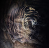 Xrossing Tiger x Kanvas